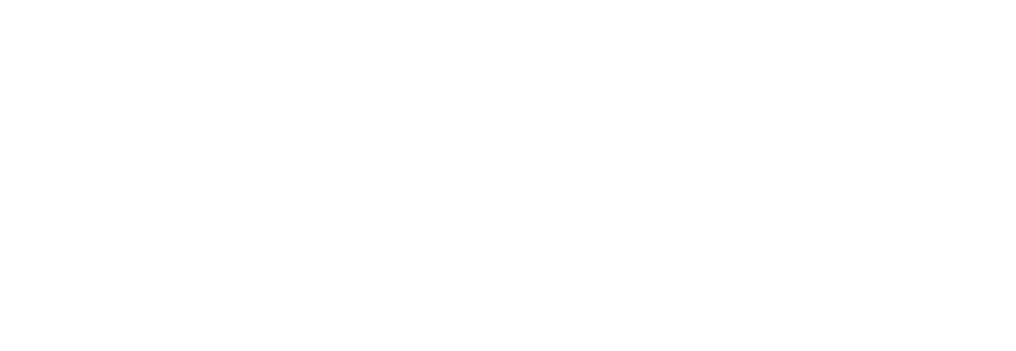 Invici W