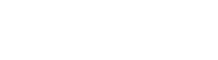 Mesh