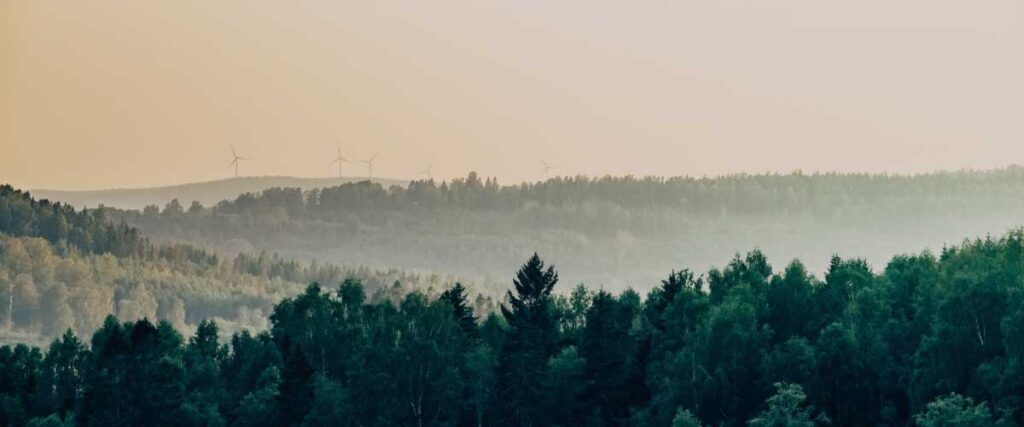 skogslandskap-med-vindkraftverk-i-bakgrunden