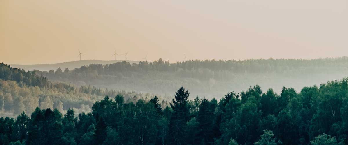 skogslandskap-med-vindkraftverk-i-bakgrunden