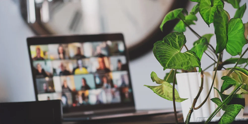 Laptop-med-digitalt-videomöte-bredvid-grön-växt
