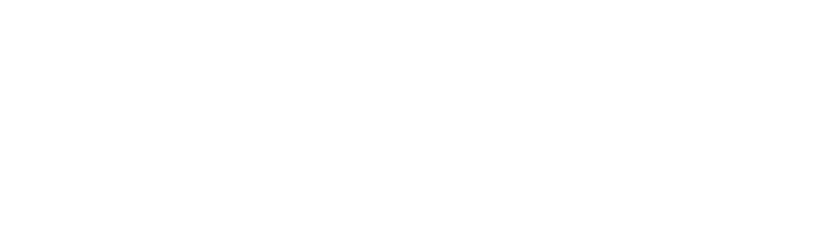 TNG - Talent Navigation Group